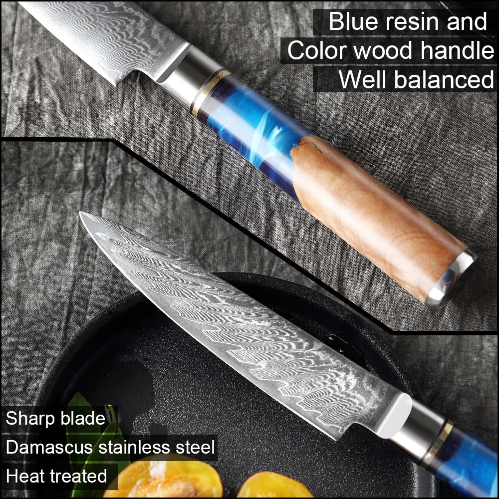 Kitchen Knife VG10 Damascus Steel