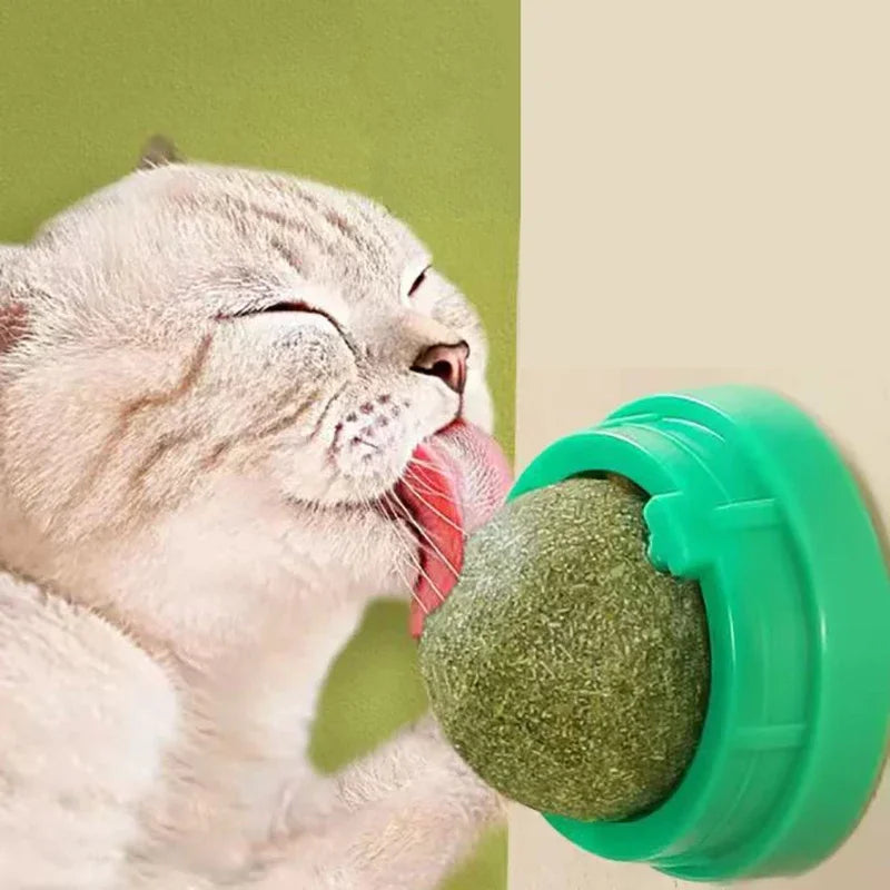 1pc Catnip Cat Wall Stick-on Ball Toy Scratchers Treats Healthy Natural Removes Balls to Promote Digestion Cat Grass Snack