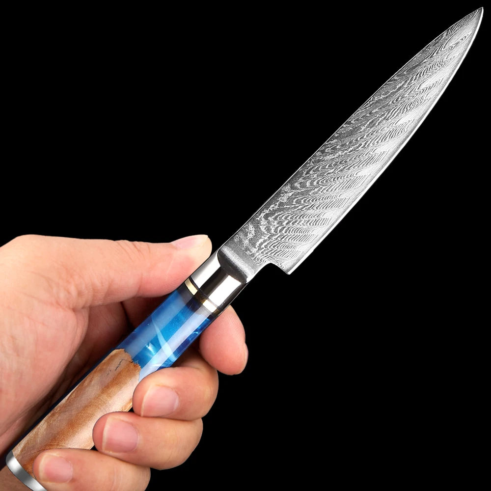 Kitchen Knife VG10 Damascus Steel